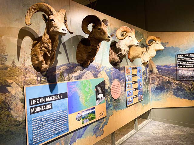 Red River Valley Museum